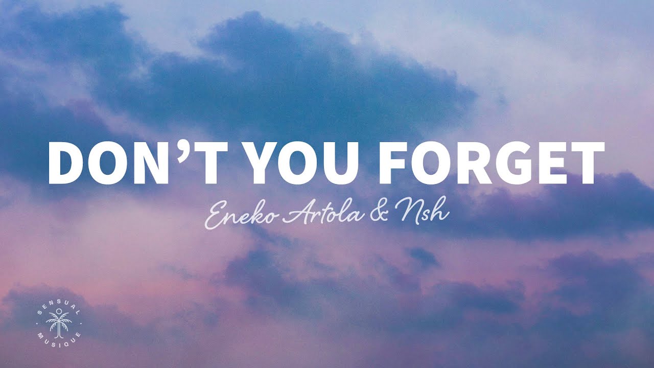 image 0 Eneko Artola & Nsh - Don’t You Forget (lyrics)