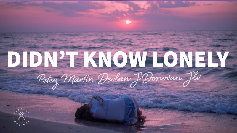 image 0 Petey Martin Declan J Donovan - Didn't Know Lonely (lyrics) Jlv Remix