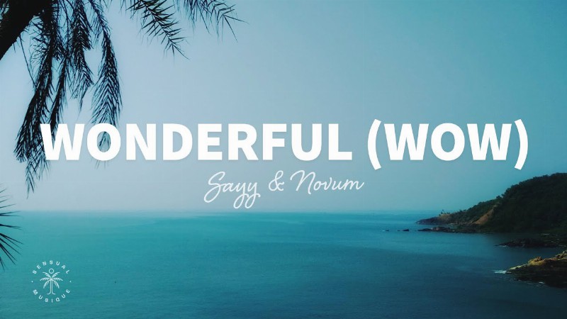 Sayy - Wonderful (wow) [lyrics] Ft. Novum