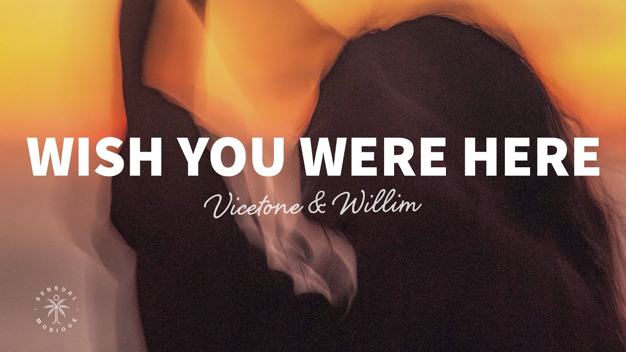 Vicetone Willim - Wish You Were Here (lyrics)